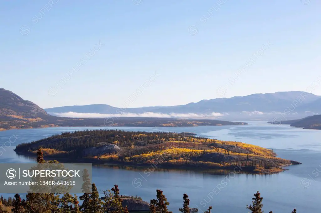 Bove Island in Indian summer, leaves in fall colours, autumn, Windy Arm of Tagish Lake, South Klondike Highway, Yukon Territory, Canada