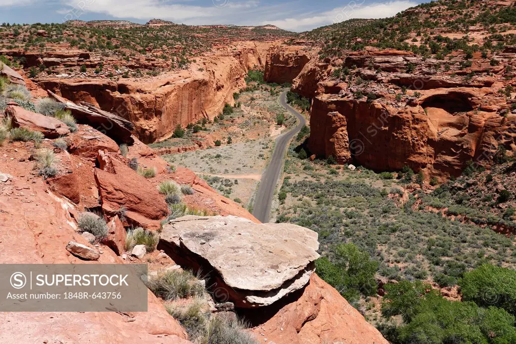 Red Canyon in Long Canyon, Wingate Sandstone of Glen Canyon Group, Burr Trail Road, Utah, USA