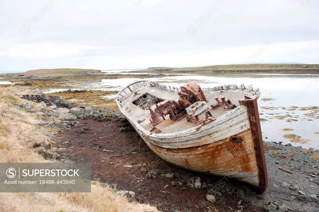 Shipwreck on the beach, Flatey, Iceland, Scandinavia, Northern Europe, Europe