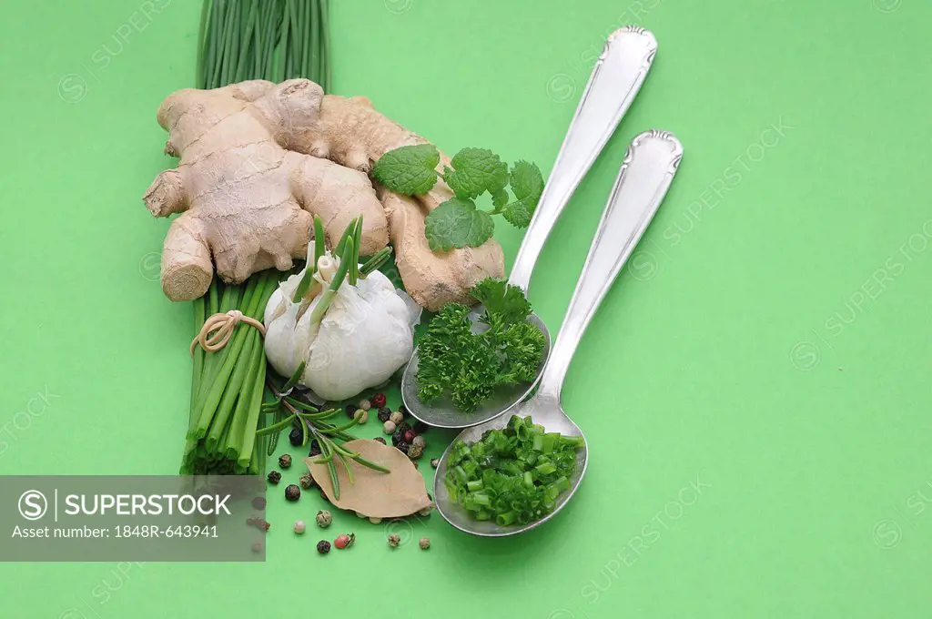Culinary herbs and spices, ginger, chives, garlic, rosemary, parsley, pepper, bay leaf, mint
