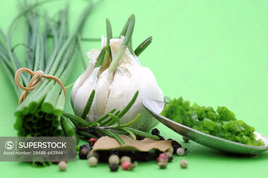 Culinary herbs and spices, chives, garlic, rosemary, pepper, bay leaf