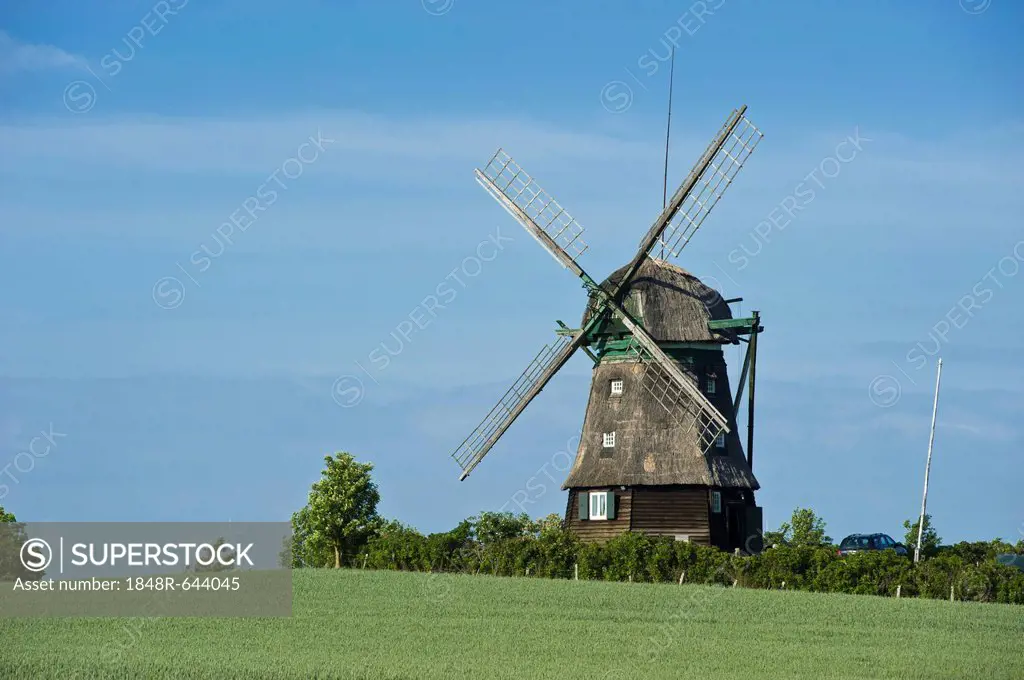 Farver Muehle mill, Farve, Baltic Sea, Schleswig-Holstein, Germany, Europe
