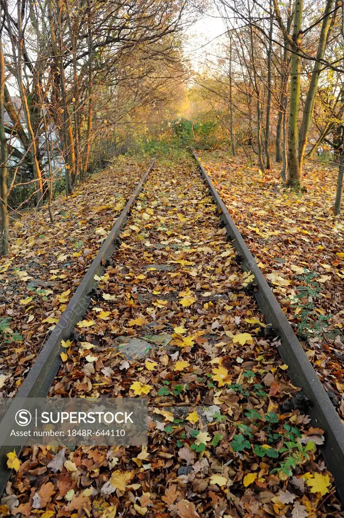 Disused railway line, Bergisch Gladbach-Bensberg, North Rhine-Westphalia, Germany, Europe