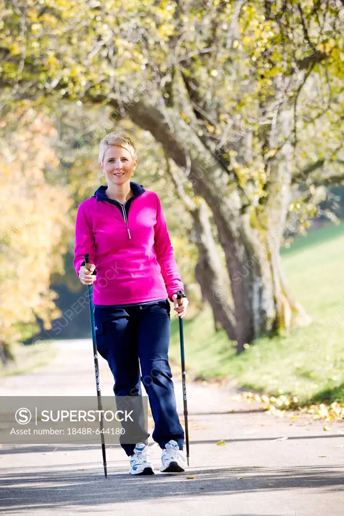 Woman doing Nordic Walking in autumn, Schnabelberg mountain, Waidhofen Ybbs, Lower Austria, Mostviertel, Austria, Europe