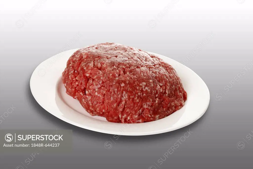 Minced meat, half ground beef, half ground pork, on a plate