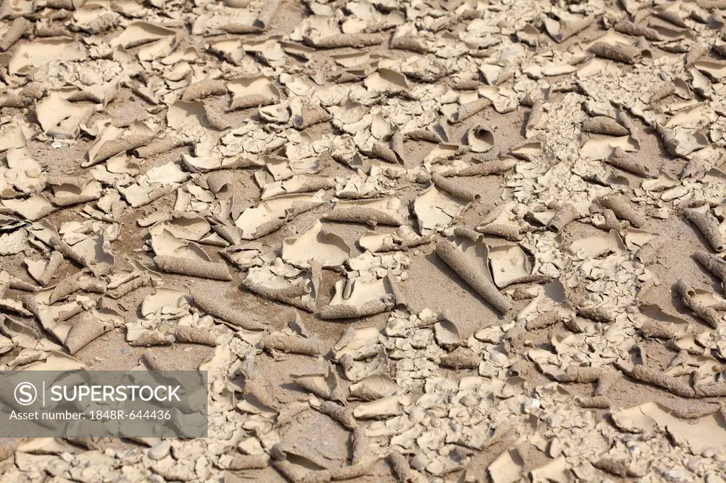 Desiccated sandy soil