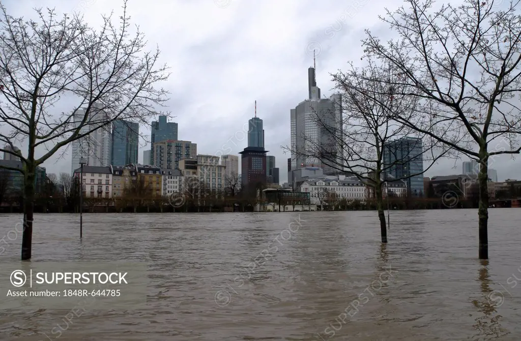 High water and view of the financial district, Frankfurt am Main, Hesse, Germany, Europe