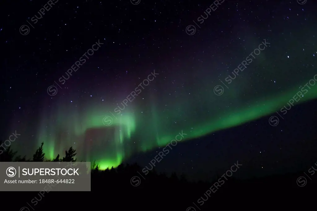 Swirling Northern lights, Polar aurora or Aurora Borealis, green, near Whitehorse, Yukon Territory, Canada