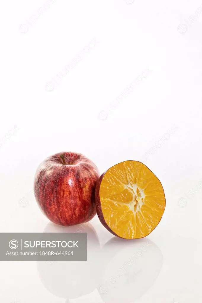 Symbolic image, genetically modified apple, apple and orange cloned together