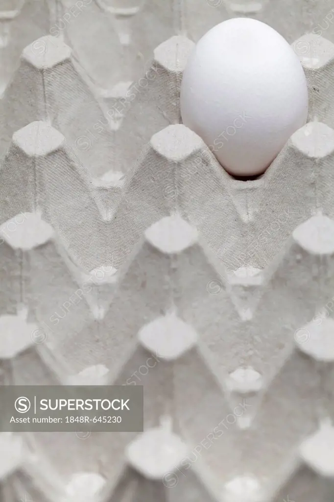 Single egg in an egg carton