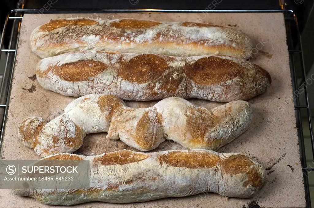 Baked Baguettes au Levain, wheat sourdough baguettes on a fireclay brick fresh from the oven