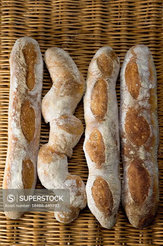 Baked Baguettes au Levain, wheat sourdough baguettes