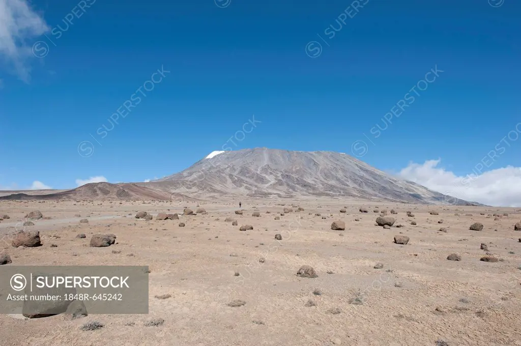 Lonely wanderer, extinct volcano, view over the Kibo Saddle towards the summit of Kibo, Kilimanjaro National Park, Marangu Route, Tanzania, East Afric...
