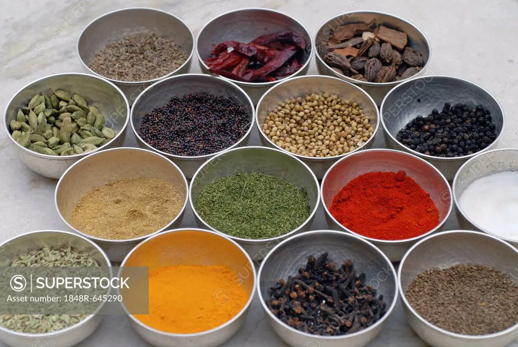 Various Indian spices, Deogarh, Rajasthan, India, Asia