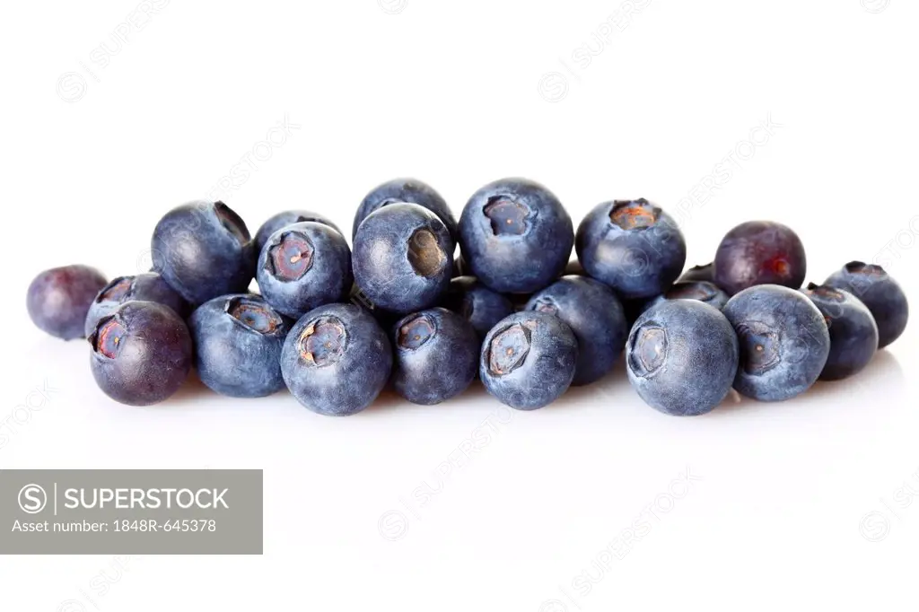 Blueberries, bilberries (Vaccinium myrtillus)