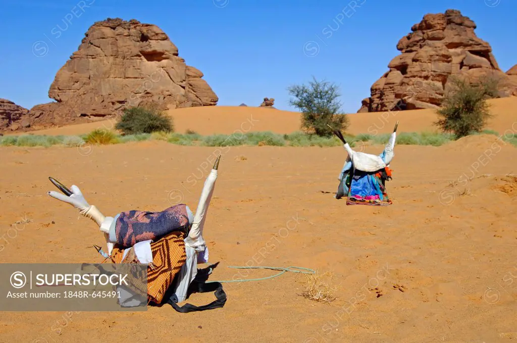 Traditional saddle for camel riding of the Tuareg nomads sitting on the desert sands, Sahara, Libya, North Africa