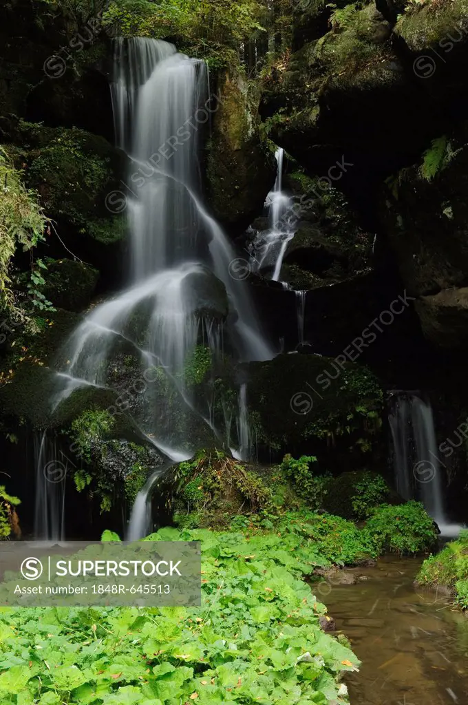 Lichtenhainer Waterfall, Saxon Switzerland, Saxony, Germany, Europe