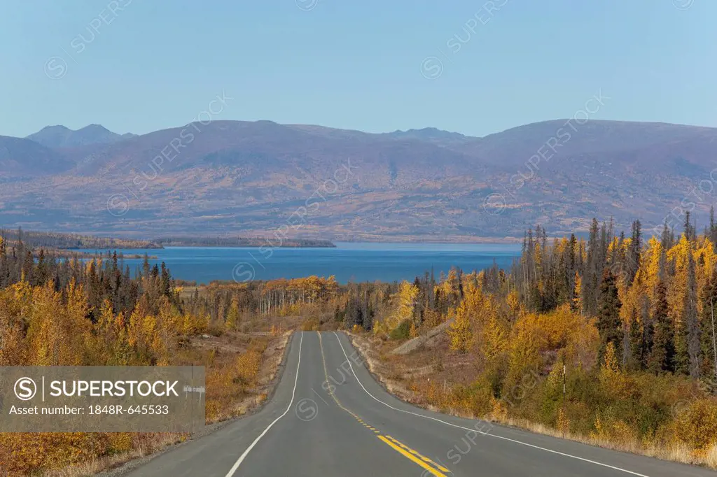 Haines Road towards Haines Pass, Alaska, Dezadeash Lake behind, Indian Summer, leaves in fall colours, autumn, St. Elias Mountains behind, Kluane Nati...