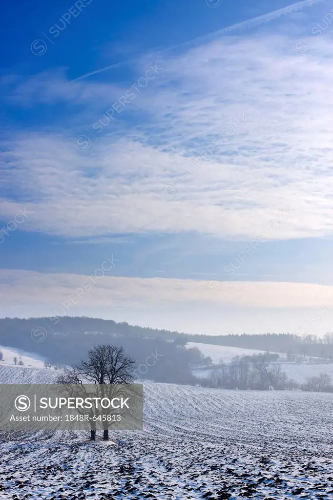 Winter landscape near Knezdub, Bile Karpaty, White Carpathian Mountains Protected Landscape Area, Southern Moravia, Czech Republic, Europe