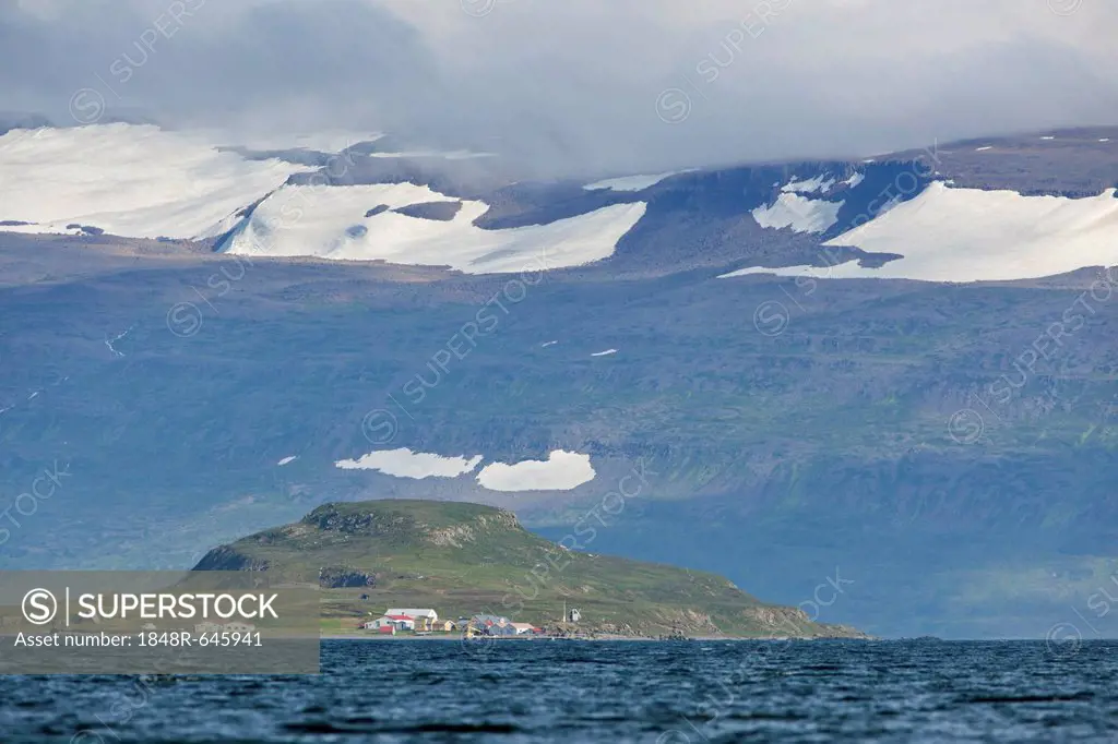 Inhabited island, Westfjords or West Fjords, Iceland, Europe