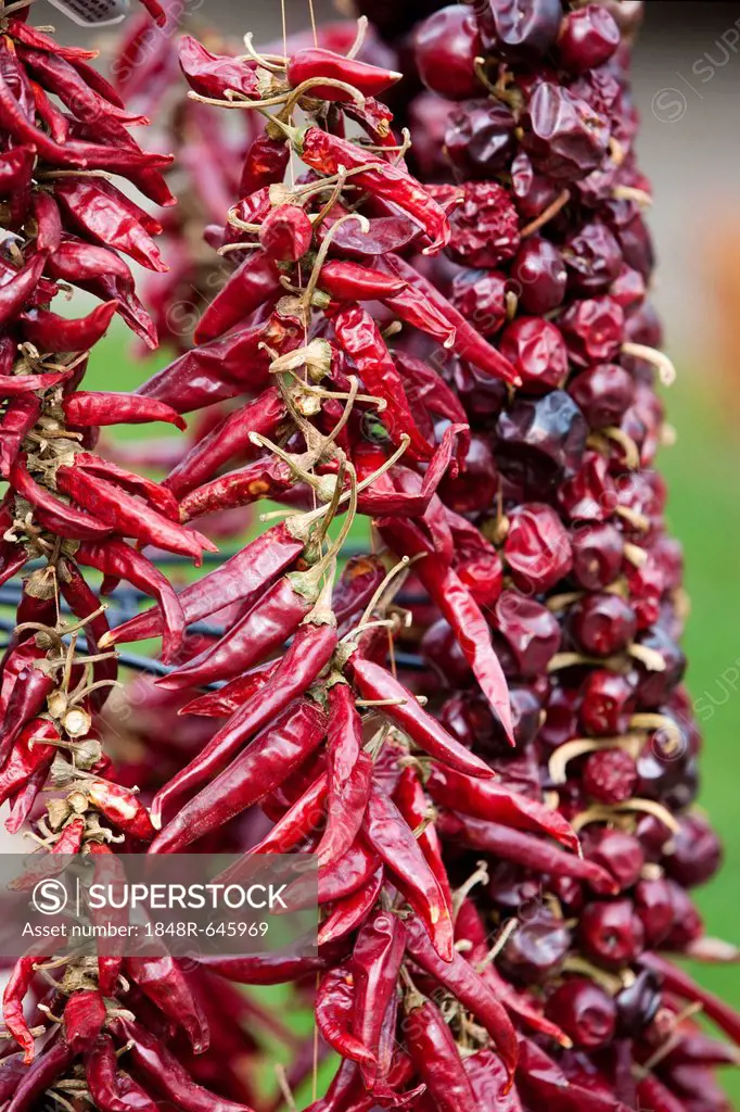 Dried peppers on a market stall, Lake Neusiedl, Hungary, Europe
