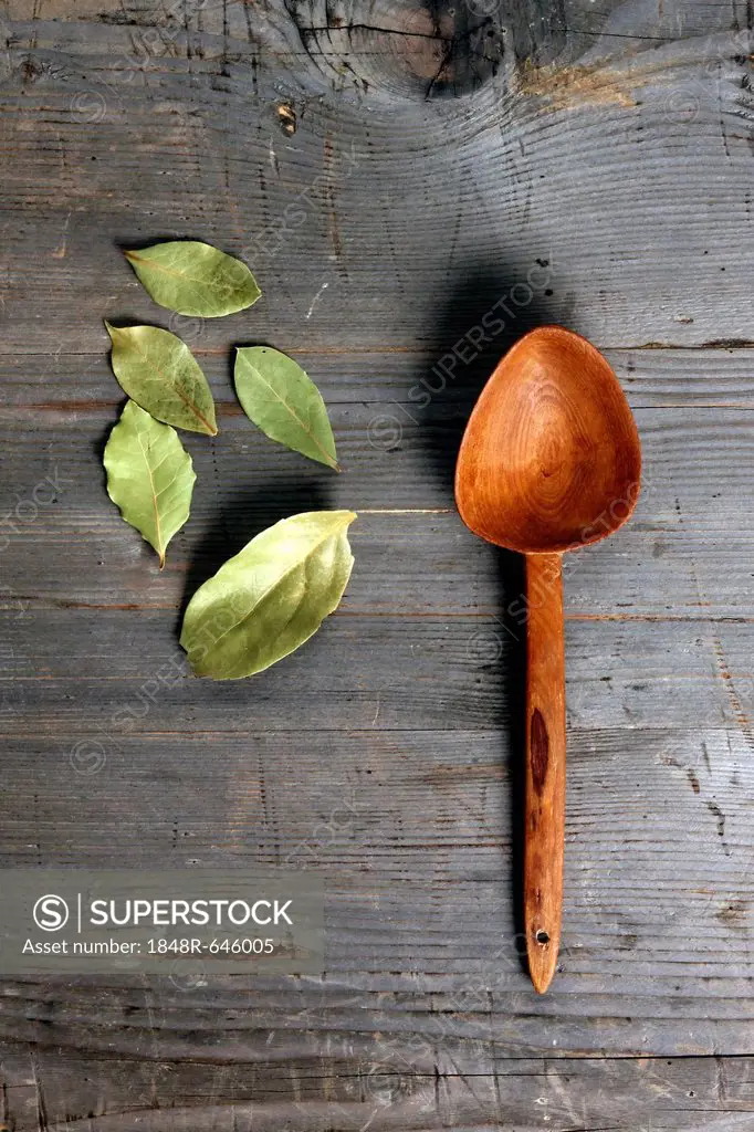 Bay Leaves (Laurus nobilis) with a wooden spoon on a rustic wooden surface