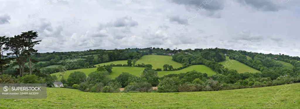 Landscape near Truro, Cornwall, England, Great Britain, Europe