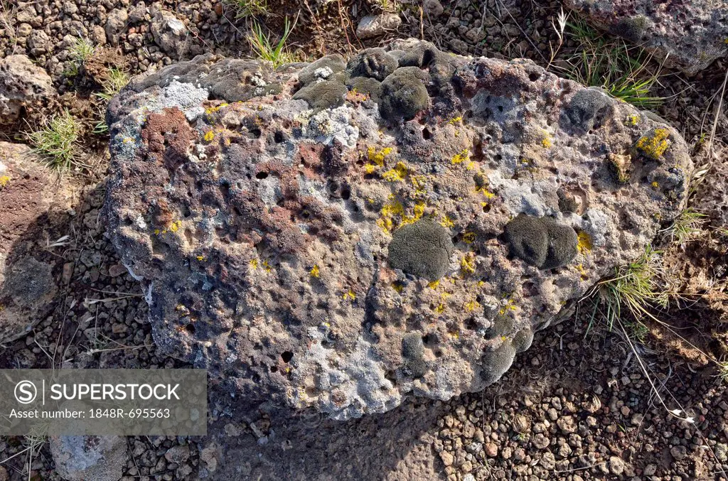 Lava boulders covered with various lichens, Bennet Hills, Gooding, Highway 46, Idaho, USA