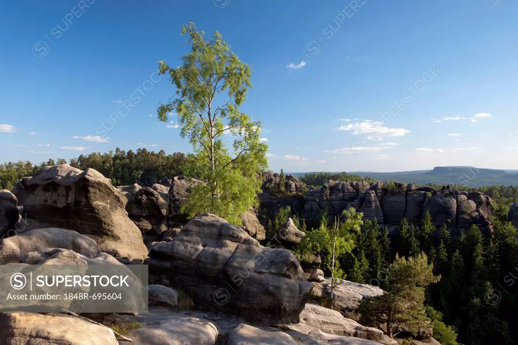 View from Carola Rocks near the Affensteine Rocks in the Elbe Sandstone Mountains, Saxony, Germany, Europe