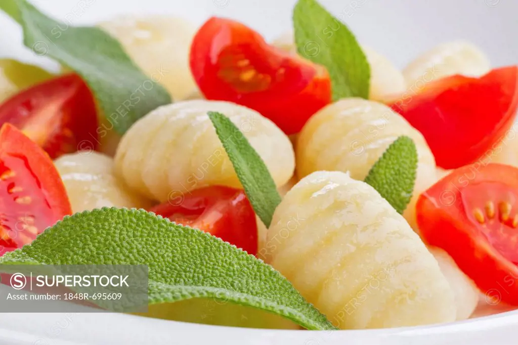 Gnocchi, tomatoes, basil