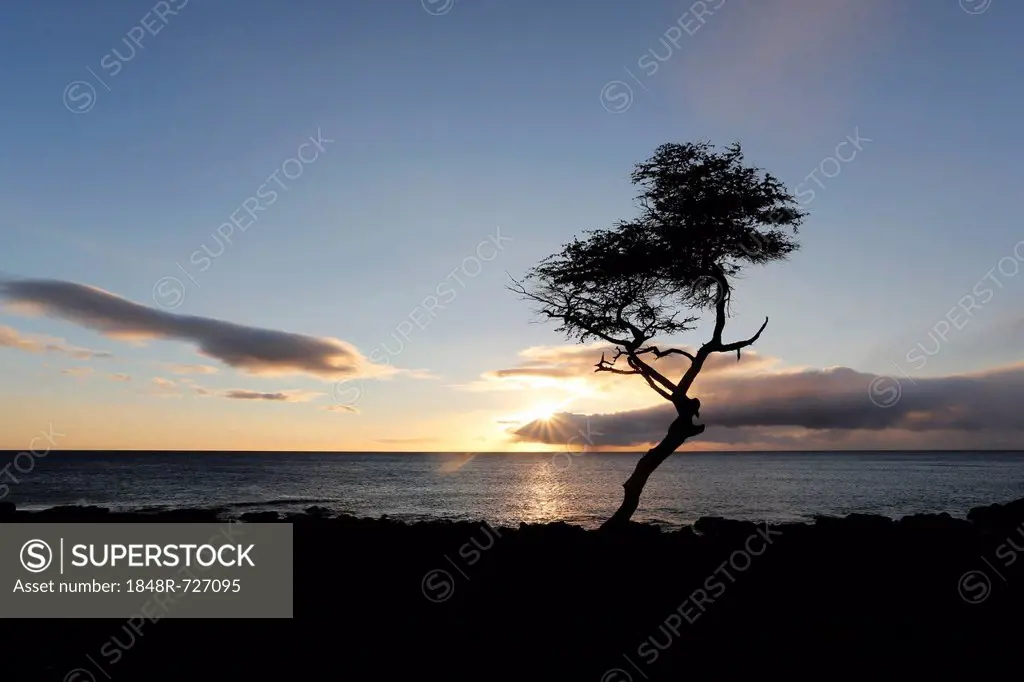 Sunset, Mahukona Beach Park, Kohala Coast, Big Island, Hawaii, USA