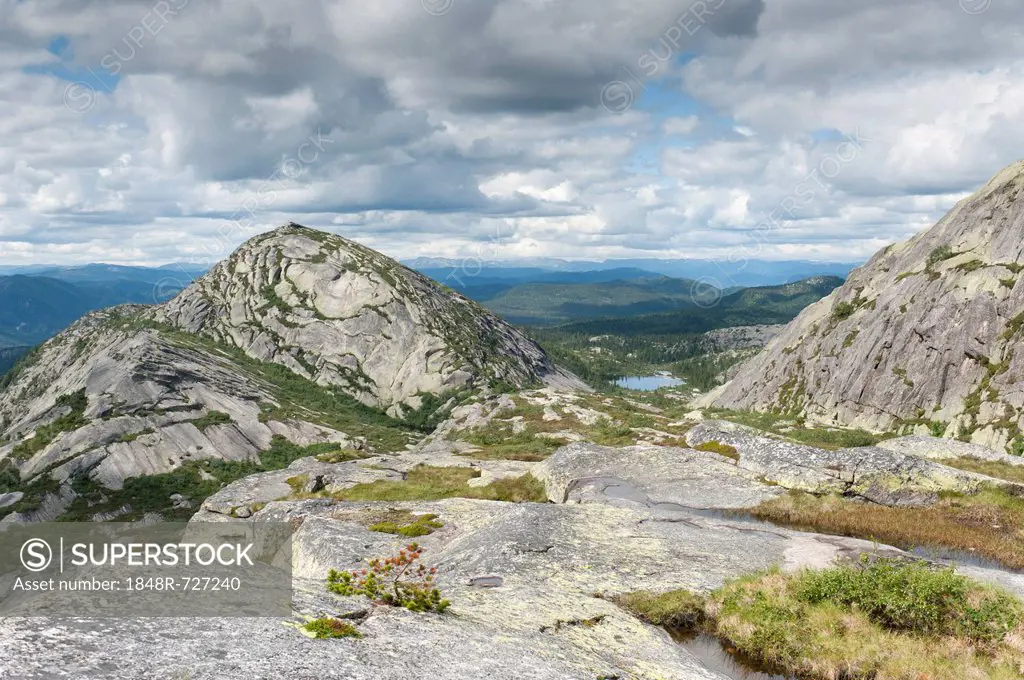 Upland fjell, granite rocks, Mt Vestre Roholtsfjell, 1018m, near Vrådal, Vradal, Telemark, Norway, Scandinavia, Northern Europe, Europe