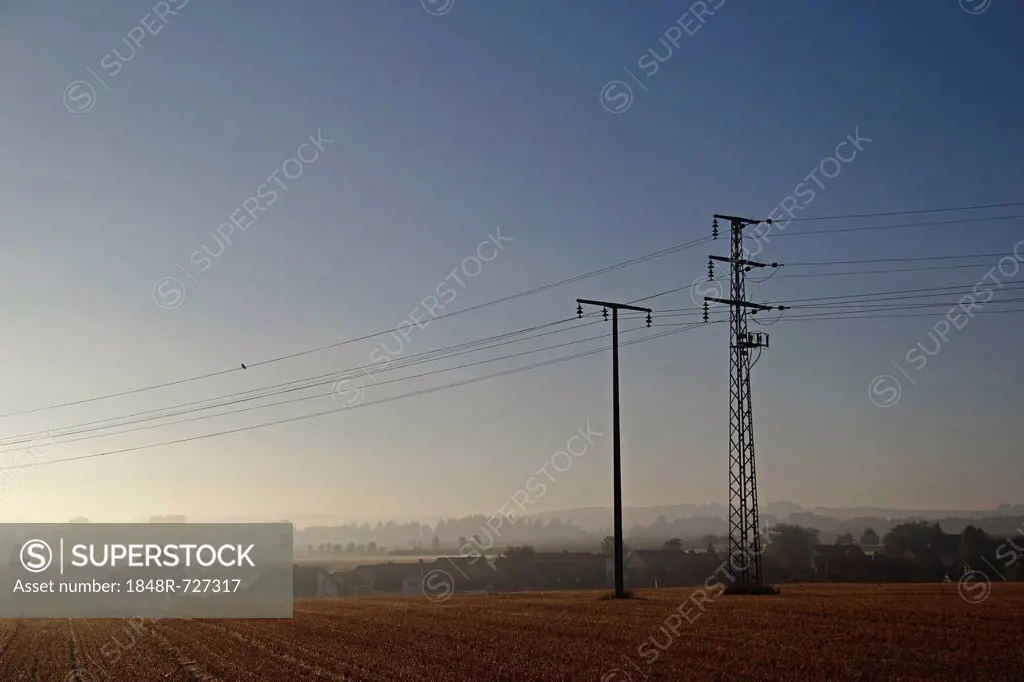 Electricity pylons in the morning, Upper Swabia, Baden-Wuerttemberg, Germany, Europe