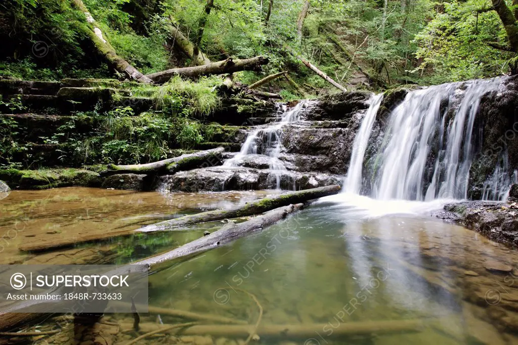 Waterfall in the Gauchachschlucht gorge, a side gorge of the Wutachschlucht nature reserve, Black Forest mountain range, Baden-Wuerttemberg, Germany, ...
