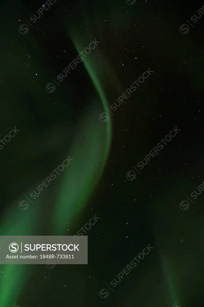 Overhead swirling northern polar lights, Aurora borealis, green, near Whitehorse, Yukon Territory, Canada, America
