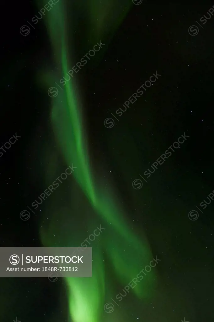 Overhead swirling northern polar lights, Aurora borealis, green, near Whitehorse, Yukon Territory, Canada, America