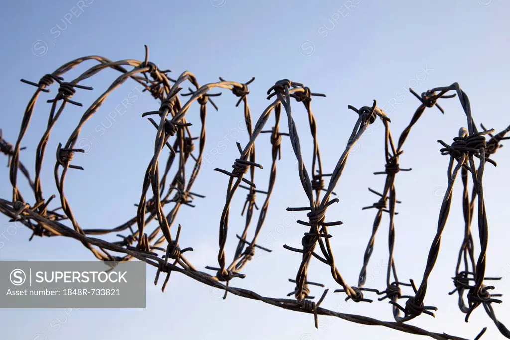Rolled barbed wire