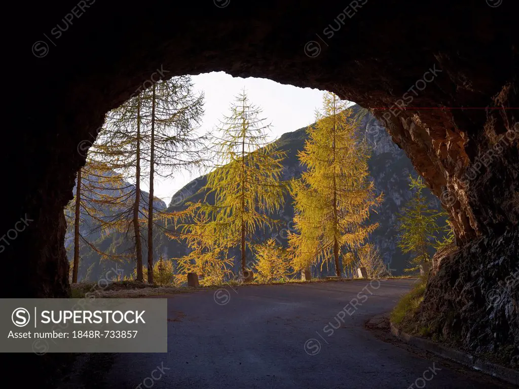 Rock tunnel with view of autumnal larch trees, Mangart Pass, highest road in Slovenia, Triglav National Park, Slovenia, Europe