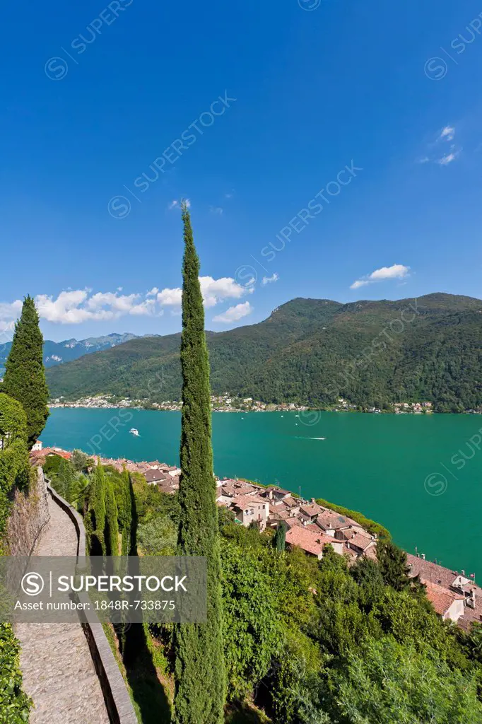 View over Morcote towards Lake Lugano, Cypress (Cupressus), Lago di Lugano, Ticino, Switzerland, Europe