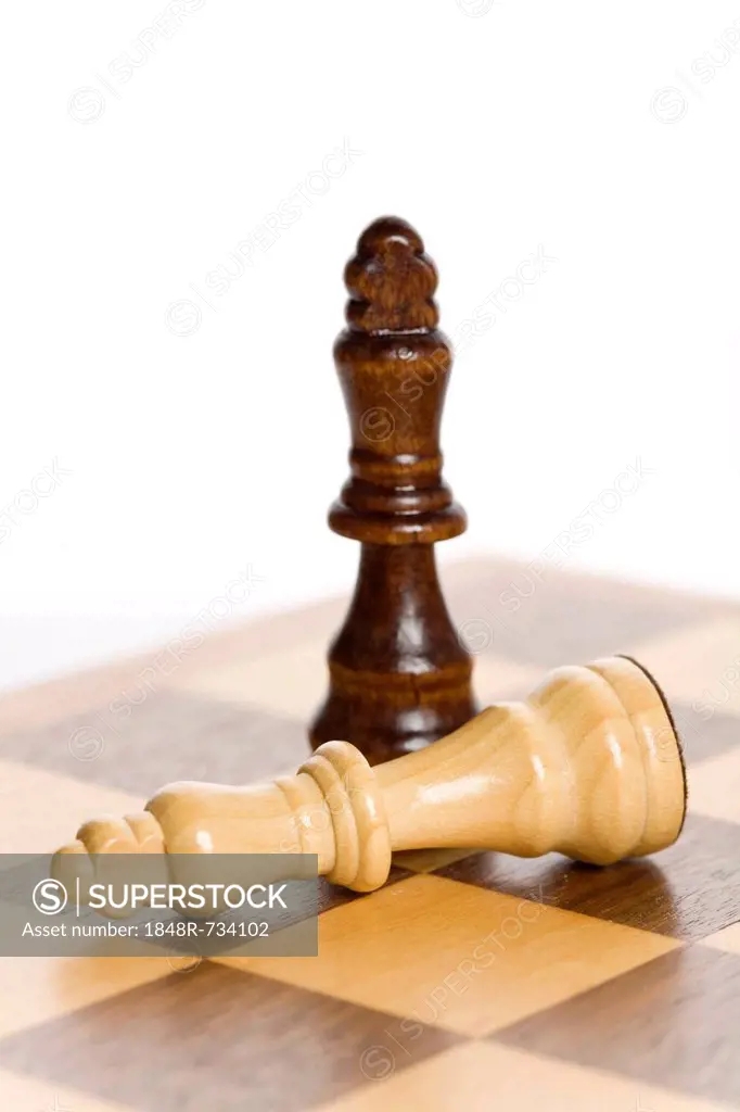 Chess pieces, two Kings