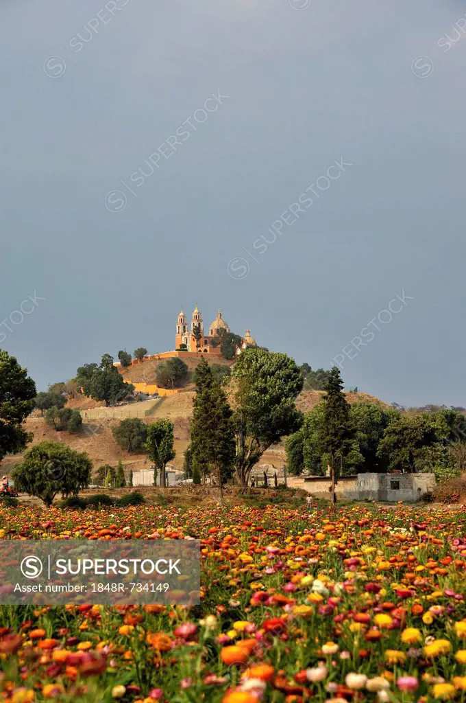 Meadow of coloured flowers in front of the church of Iglesia Nuestra Senora de los Remedios on the ruins of the pre-Hispanic Pyramid of Cholula, San P...