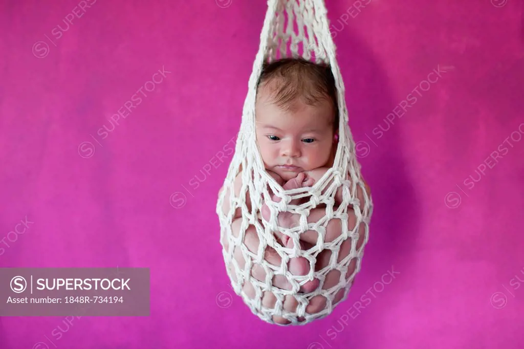 Newborn baby, five days, suspended in a stork's bag