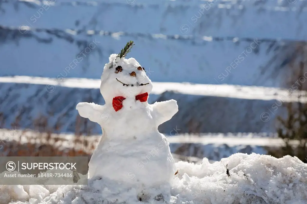 Snowman, Eisenerz, Styria, Austria, Europe