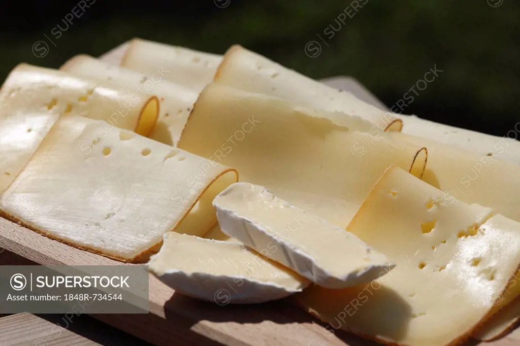 Cheese, cheeseboard, natural cheese dairy Tegernseer Land, Kreuth, Upper Bavaria, Bavaria, Germany, Europe