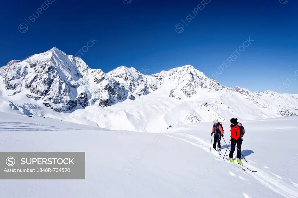 Touring skiers climbing to the top of Hintere Schoentaufspitze mountain, Sulden in winter, Monte Zebru mountain, Ortler mountain and Koenigsspitze mou...