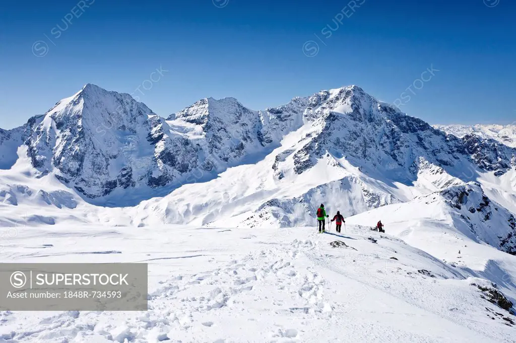 Touring skiers climbing down Hintere Schoentaufspitze mountain, Sulden in winter, Koenigsspitze mountain, Ortler mountain and Monte Zebru mountain at ...