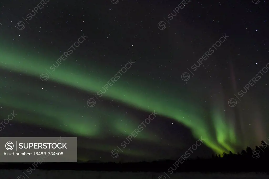 Swirling northern polar lights, Aurora borealis, green, near Whitehorse, Yukon Territory, Canada, America