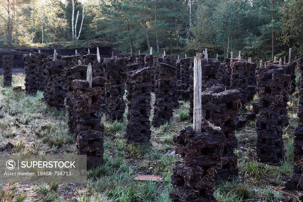 Peat drying, peat cutting, peat bog, Nicklheimer Moor, between Raubling and Bad Feilnbach, Upper Bavaria, Bavaria, Germany, Europe, PublicGround