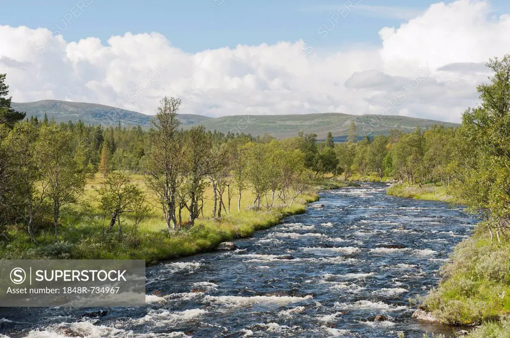 Wilderness, Groevlan river with rapids, Langfjaellet Nature Reserve near Groevelsjoen, Dalarna province, Sweden, Scandinavia, Northern Europe, Europe