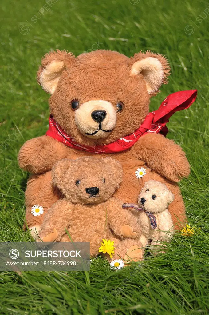 Teddy bear family sitting on grass